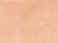 D 664 SE D 664 SE