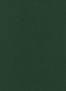153 PE
