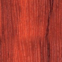 d 775 se d 775 se